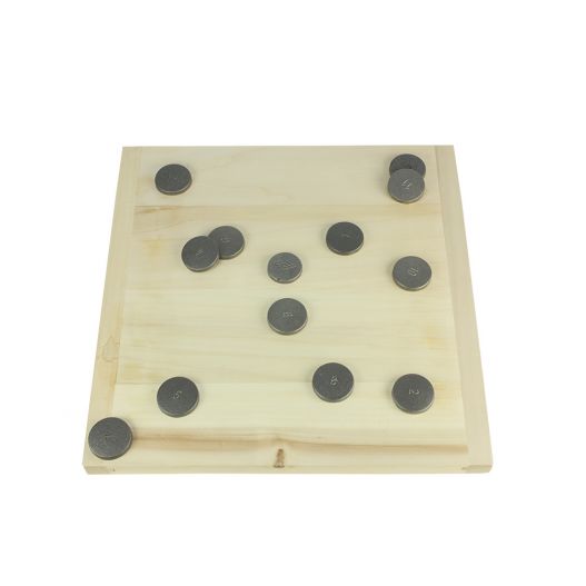 Jeu de Palets - Jeu d'Adresse en Bois - 6 ans - 2 joueurs - 10