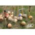 Croquet 6 joueurs adultes