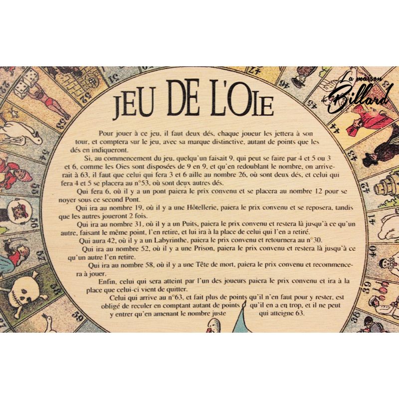 Règle Du Jeu De L Oie Ravensburger