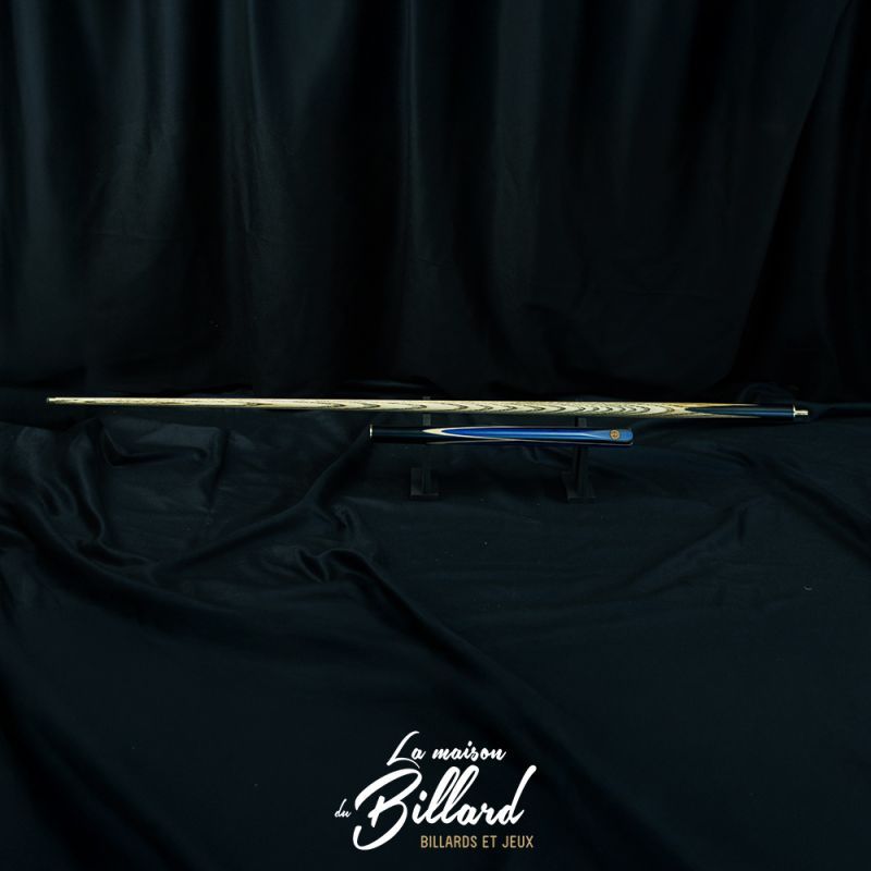 queue-billard-expert-black-ball