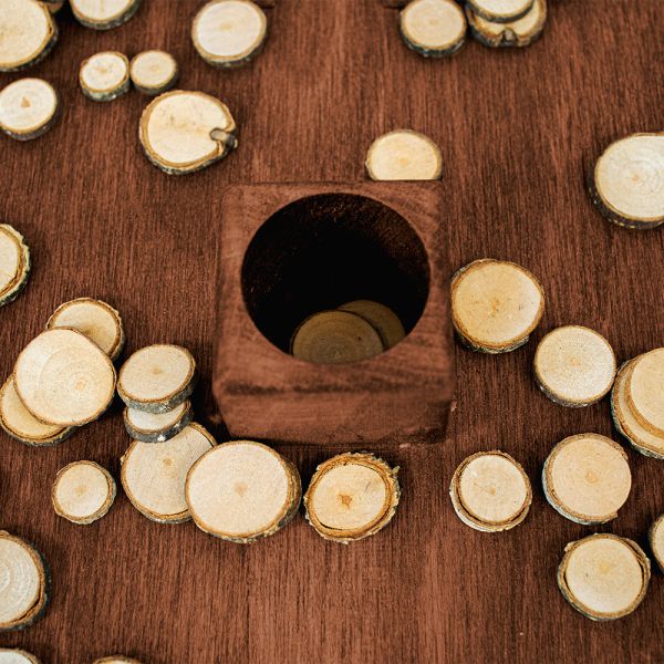 Jeu de puce : le jeu de bar par excellence-4