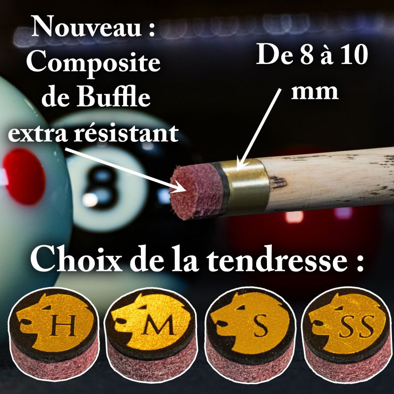 Procédé 8 pool 9/10 mm 2 couches Pro Lord Cue
