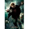 Puzzle 3D Ron Weasley Harry Potter 300 pièces
