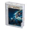 Puzzle 3D Harry et Ron Harry Potter 300 pièces