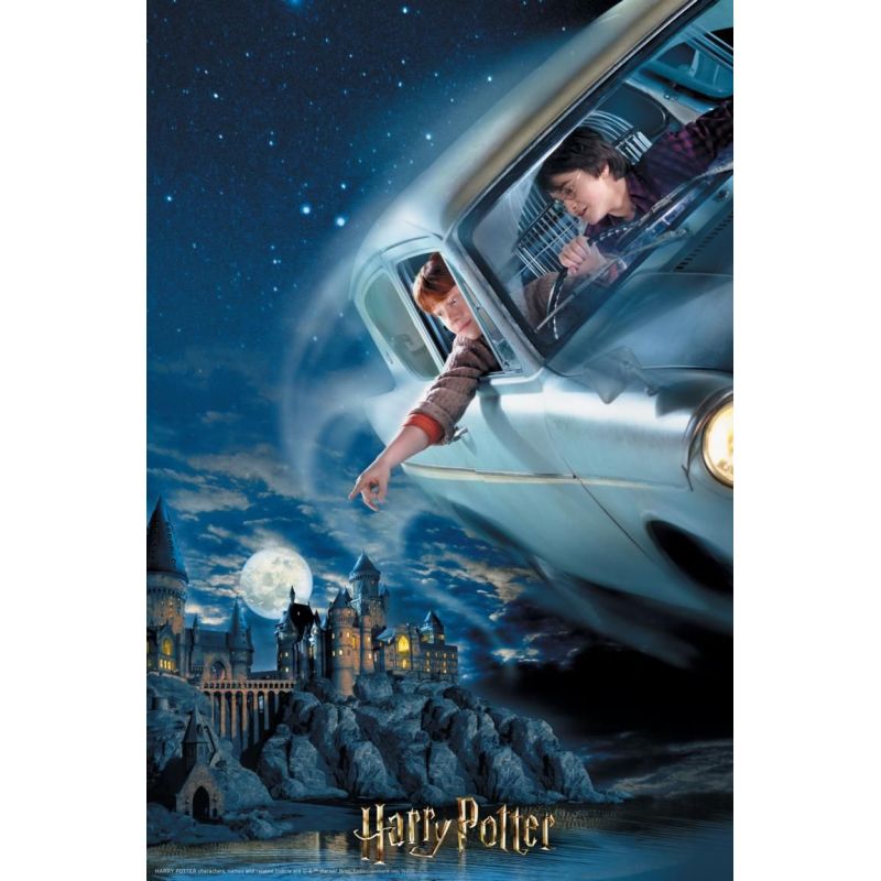 Puzzle 3D Harry et Ron Harry Potter 300 pièces
