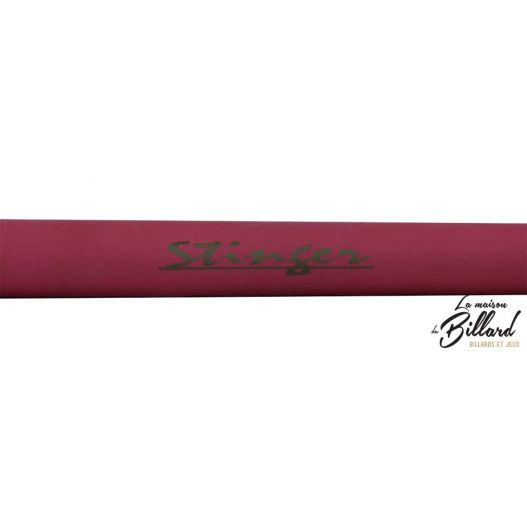Coffret Queue billard Stinger
