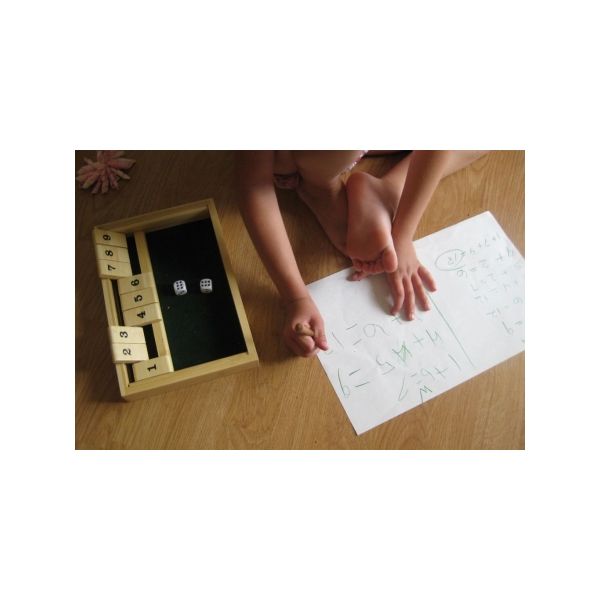 Shut the Box règles - Guide du jeu et explications