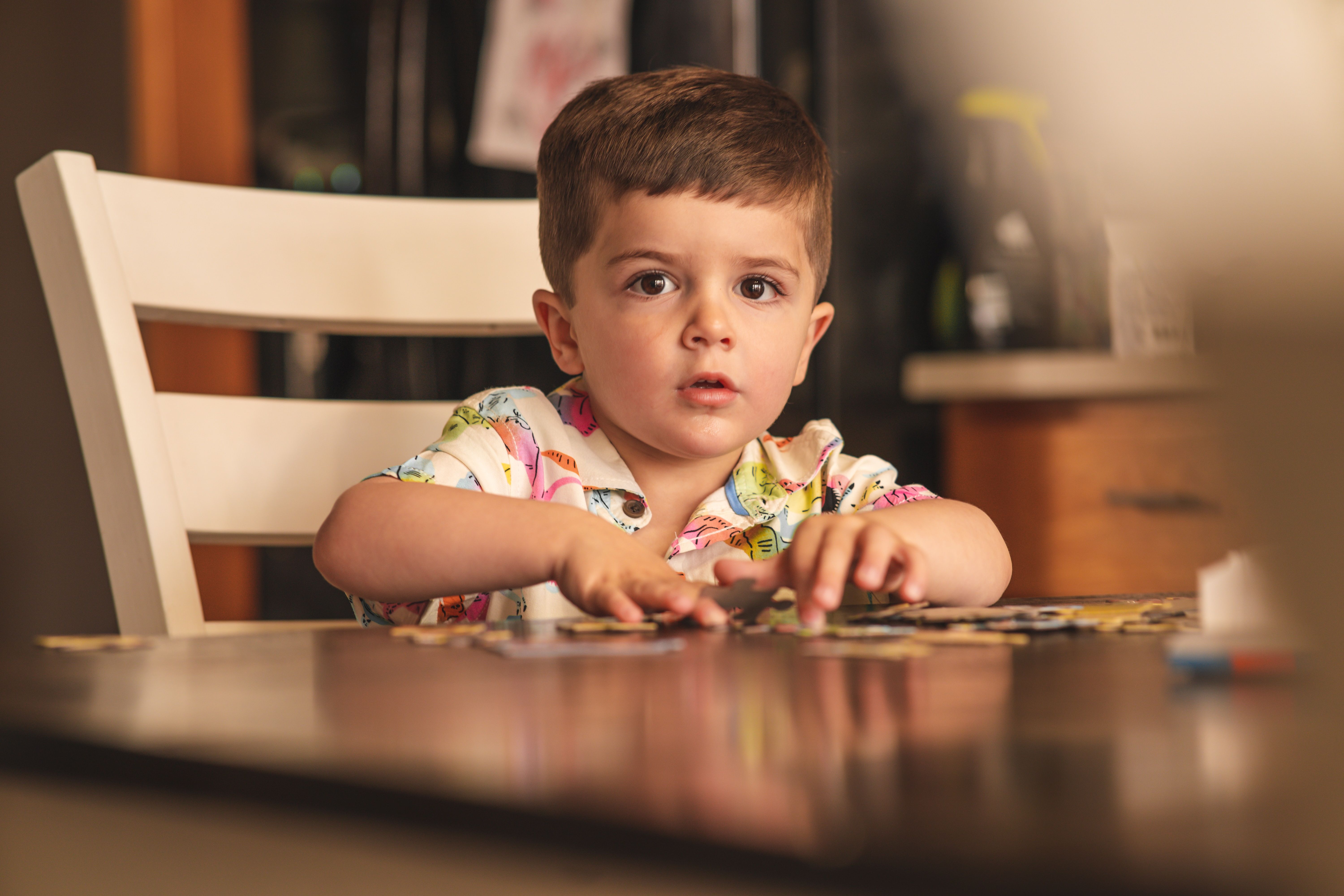 Apprentissage Précoce avec le Puzzle Sonore Véhicules en Bois pour Bébé