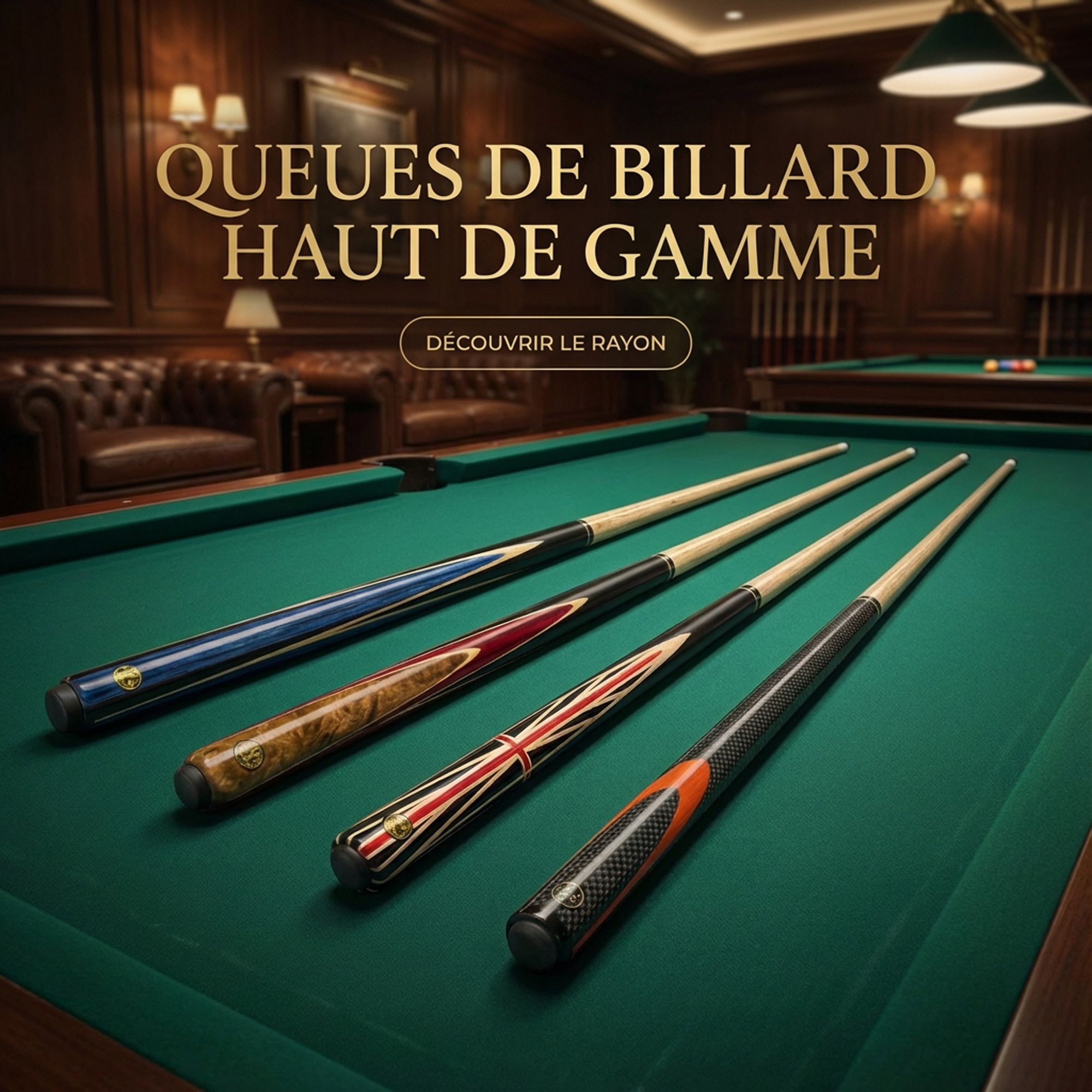 Queue de billard haut de gamme 