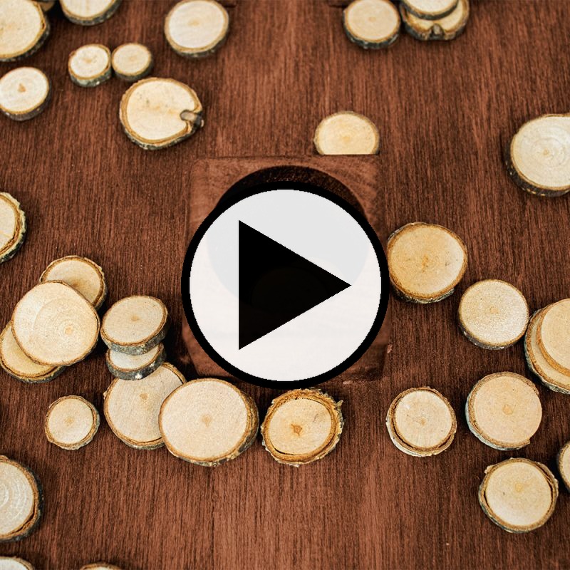 Gameplay 