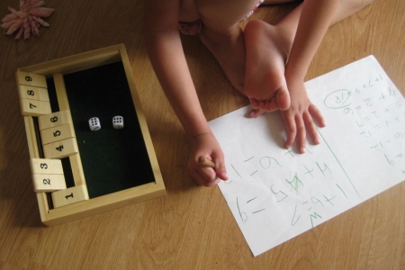 Shut the box / Fermez la boite